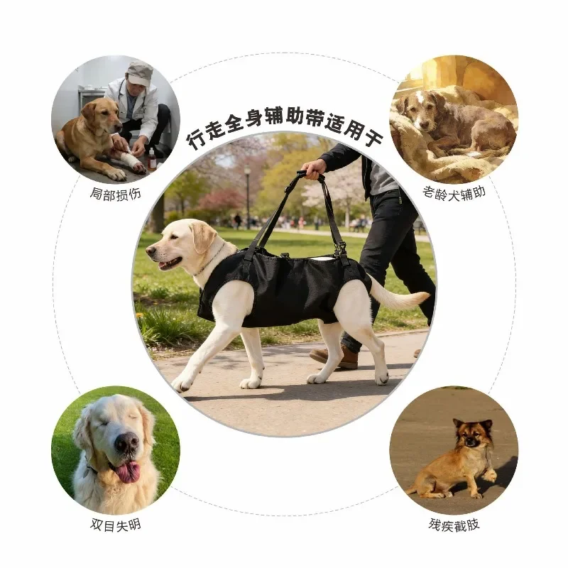 Tragbare Hundetragetasche, atmungsaktiv, verstellbar, für den Transport von Hunden, Schultertasche, multifunktionaler Rucksack, Reisetasche für Haustiere. – Detail 3