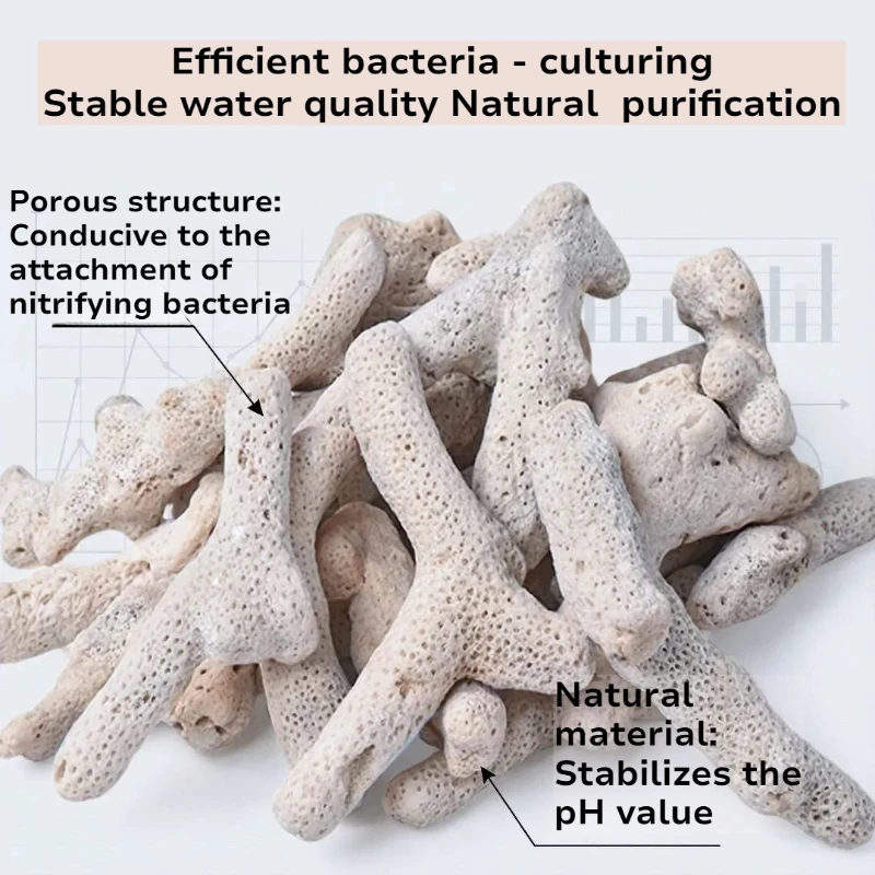 Medio Filtrante de Coral Natur - Calcium Reactor Media reseña y precio