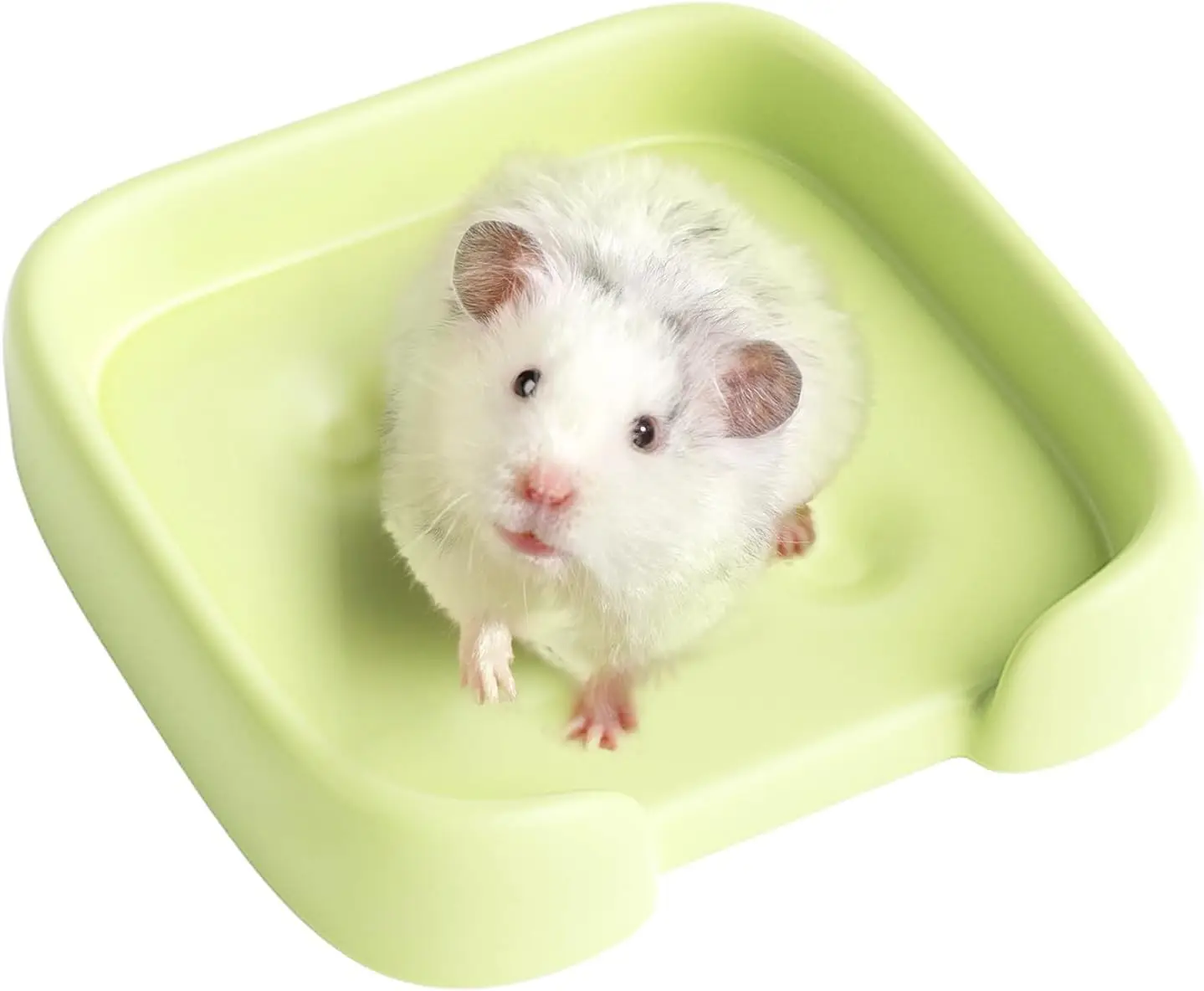 

Hamster Bed – Ceramic Cooling Rat Bed Small Pets Mat Smooth Surface Ideal for Summer Dwarf Hamster Gerbil Mice Lemmings