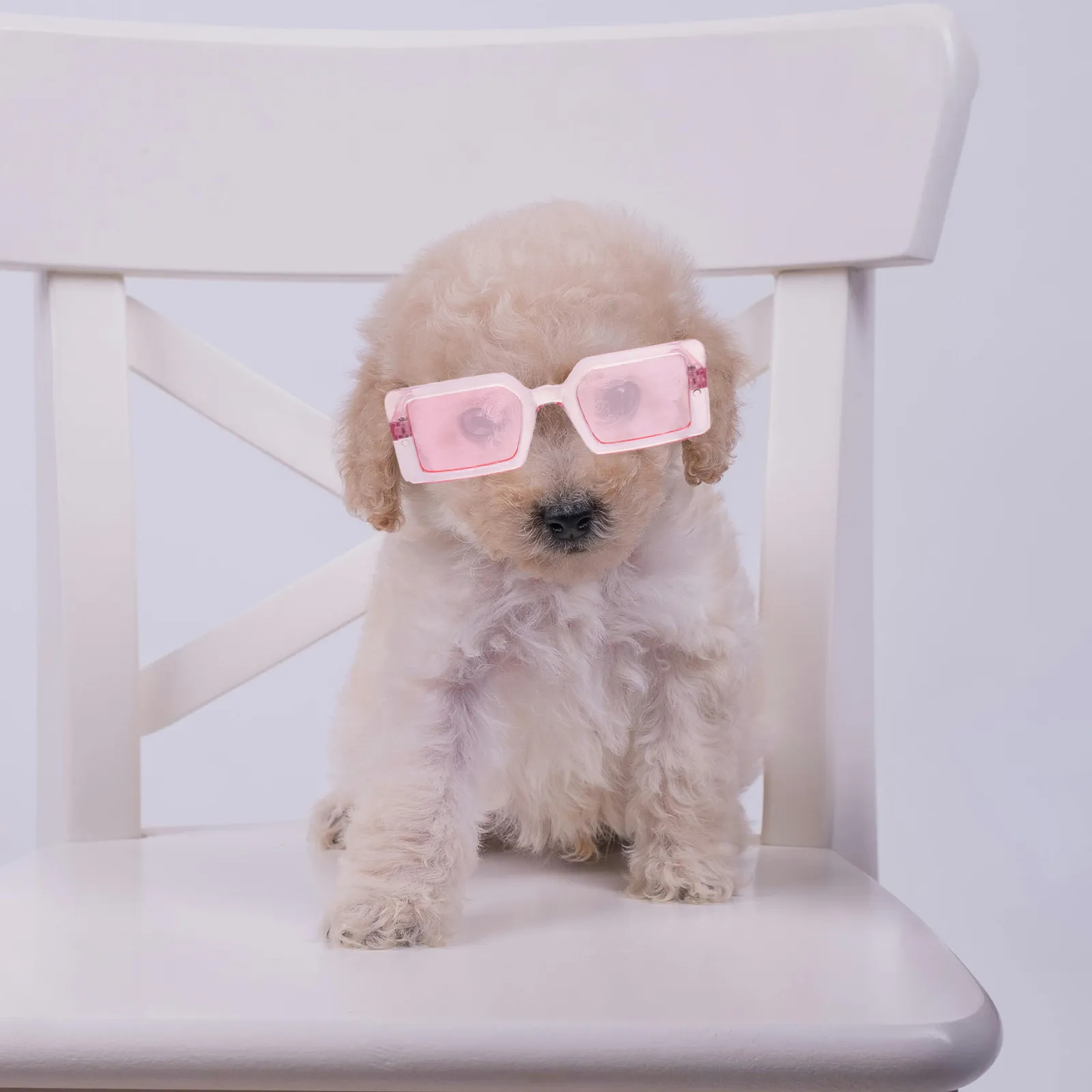 1Pcs Pet Glasses for Dogs Stylish Colorful Dog Eyeglasses Cool Modeling Design Easy Carry Lightweight Comfortable Fashion