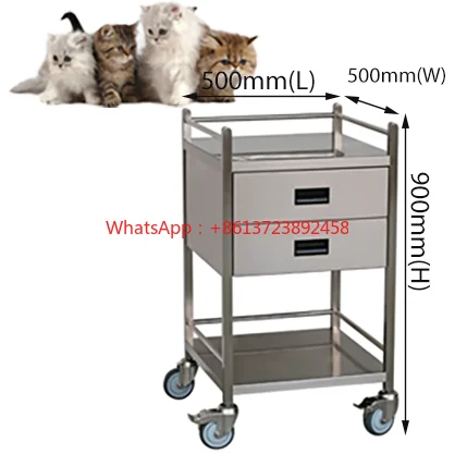 

Aeolus Animal Deluxe Mobile Tool Cart with Cabinet Pet Veterinary Tool SS Instrument Trolley 500mm 2 drawers with Rails