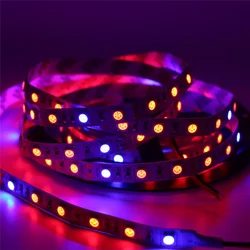 5050 SMD 5M LED Grow Lamp Full Spectrum LED Strip Light IP33 IP65 DC12V 300 LEDs Growth Lamp Phytolamp For Greenhouse Plant Room