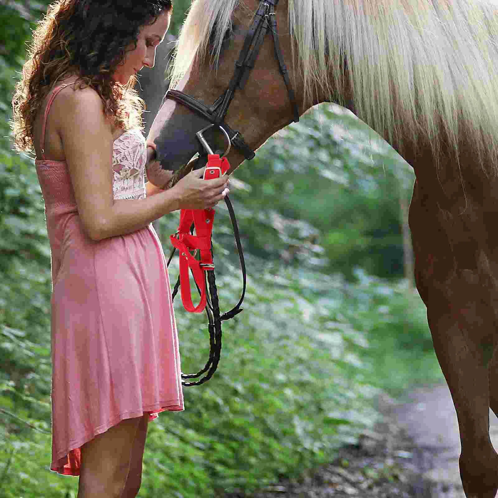 

Children's Equestrian Training Belt Parts Mini Donkey Halter Suspenders Horse Costume Large Nylon Equipment Throat Clamp