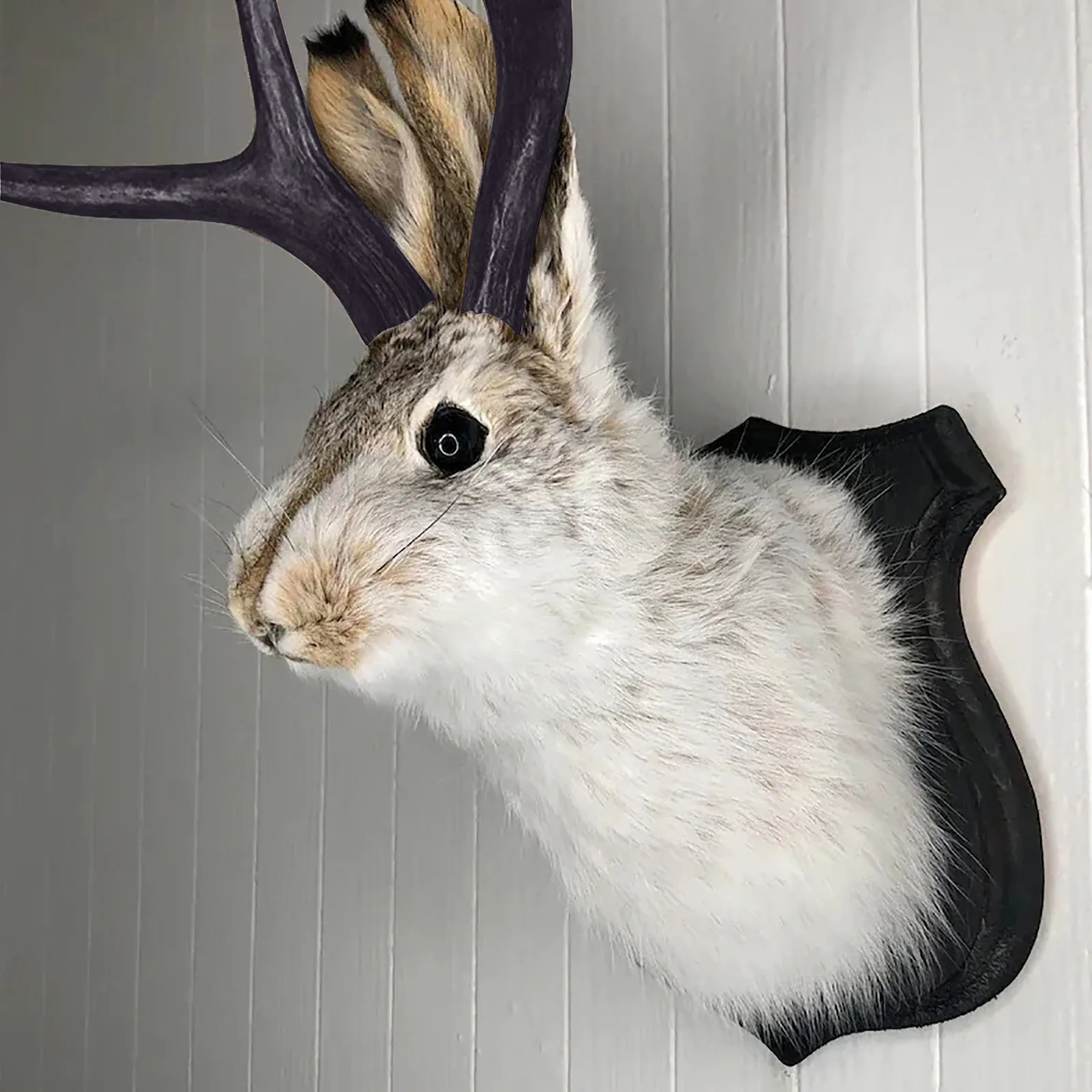 

Taxidermy Head Wall Decor Deer Head Wall Mount Deer Head Wall Mount For Home Wall Decoration. Ornaments Wall Decorations