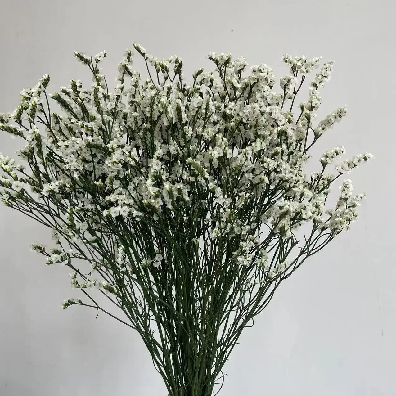 35~42CM/60g Crystal Grass Natural Fresh Dried Preserved Forget me Flowers,Real Forever Lover Grass Branch For Home Decor