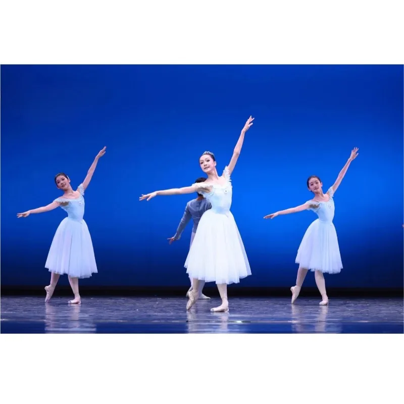 Costume da spettacolo di danza classica - Concorso di abiti da ballo professionali per adulti - Danza in abito da balletto per bambini azzurro