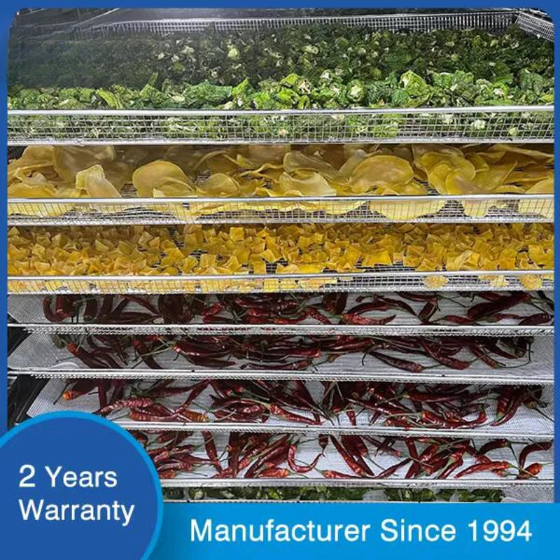 Stainless Steel Food Dehydrator CE Certified Lemon Cabinet Dryer, With 20 Trays, For Drying Fruits And Vegetables