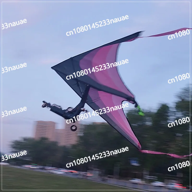 Remote Control Power Delta Wing 1.3 Meters Drone Model Aircraft 2212 Motor