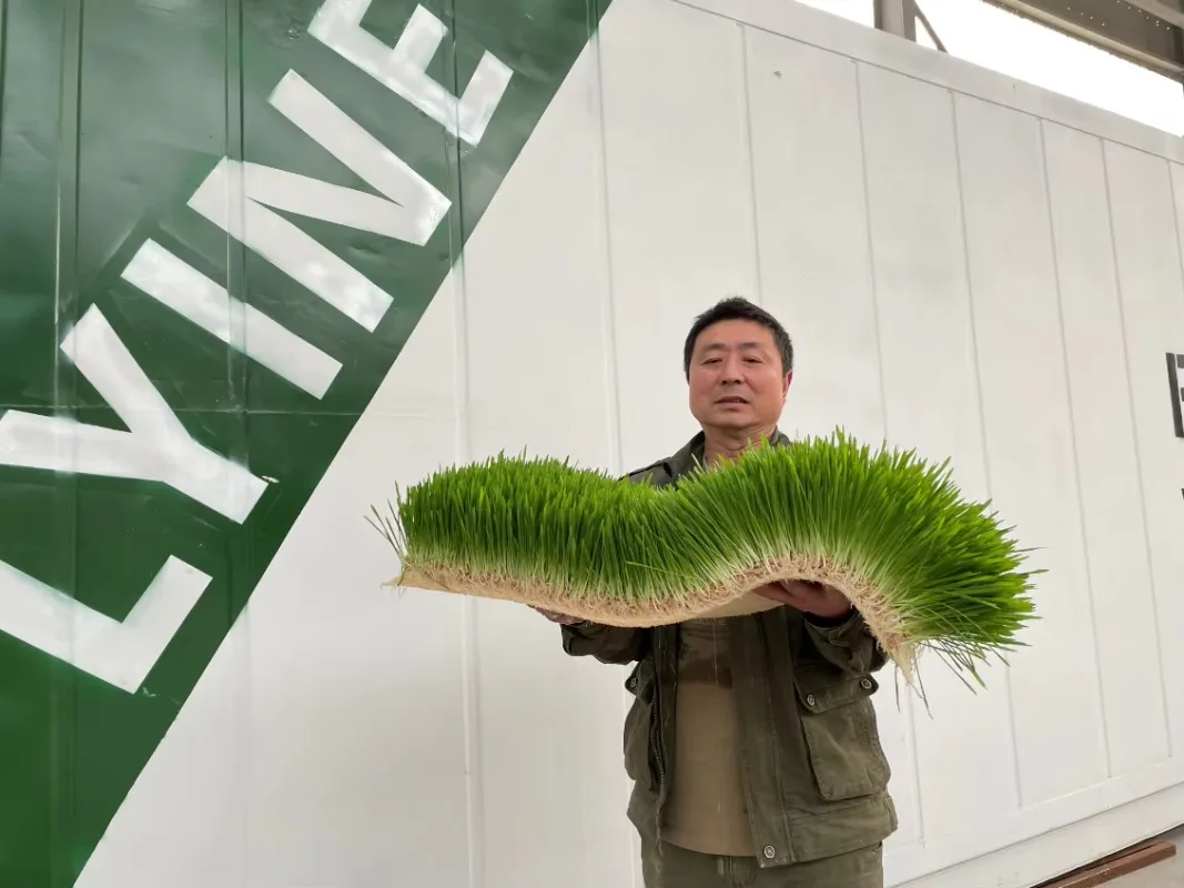 Contenitore per sistemi di ricerca idroponica per sistemi di coltivazione idroponica agricola