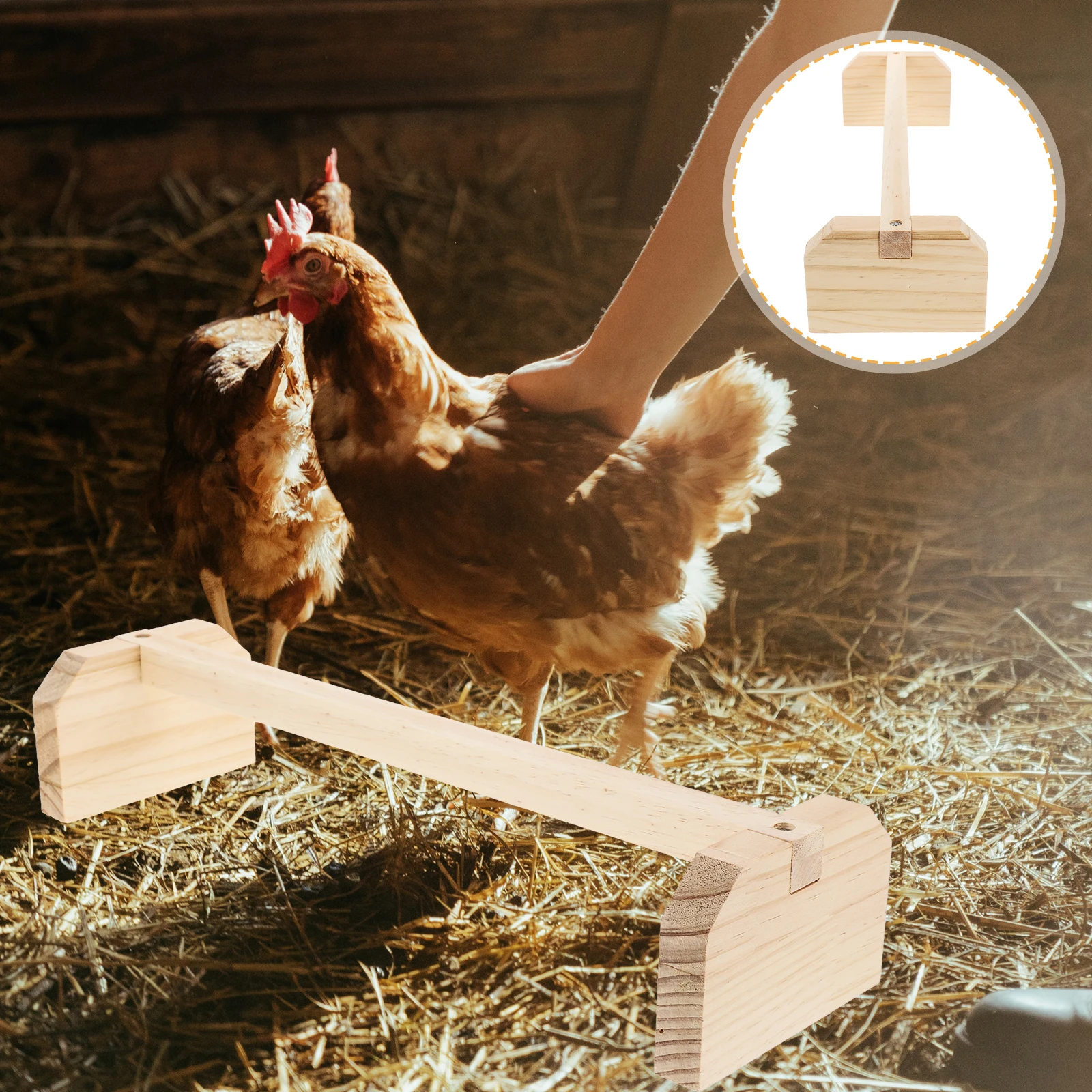 

2Pcs Parrot Stand Wood Cage Accessory Strong Chick Rooster Perch Suitable for Parrot Lovebird Training Bird Stand