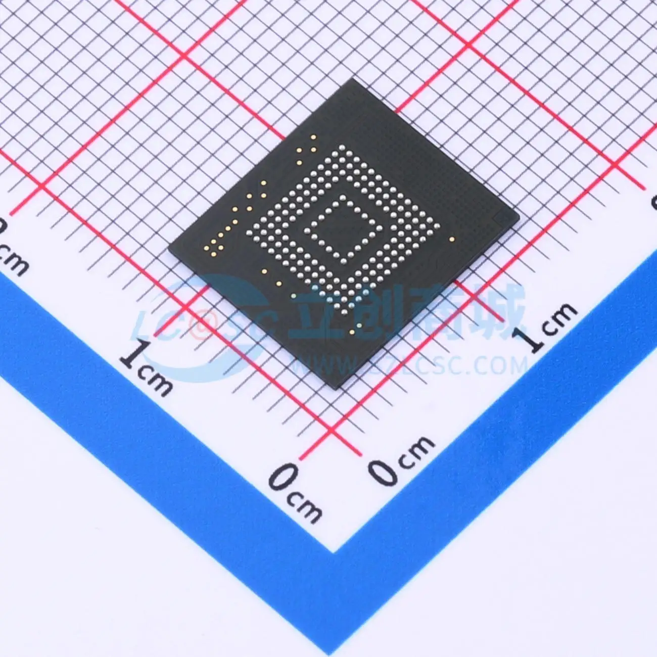 THGAMRG7T13BAIL Custodia protettiva