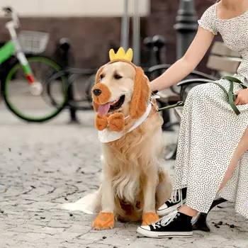 6 best sales 黃色的狗耳朵 - №1