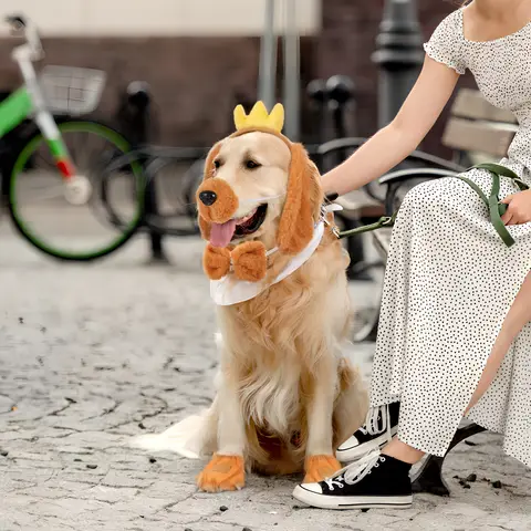 6 best sales पीले कुत्ते के कान - №1