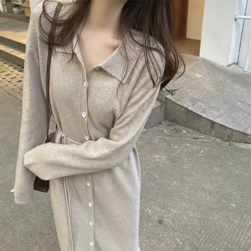 2024 Autumn/Winter New Gentle Style Interior Long Loose Woolen Skirt Bottom Knitted Dress