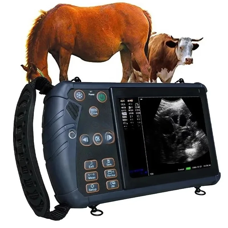 Ultrasonic Equipment Portable Cattle and Horse Animal Detection Diagnosis Early Check Cattle