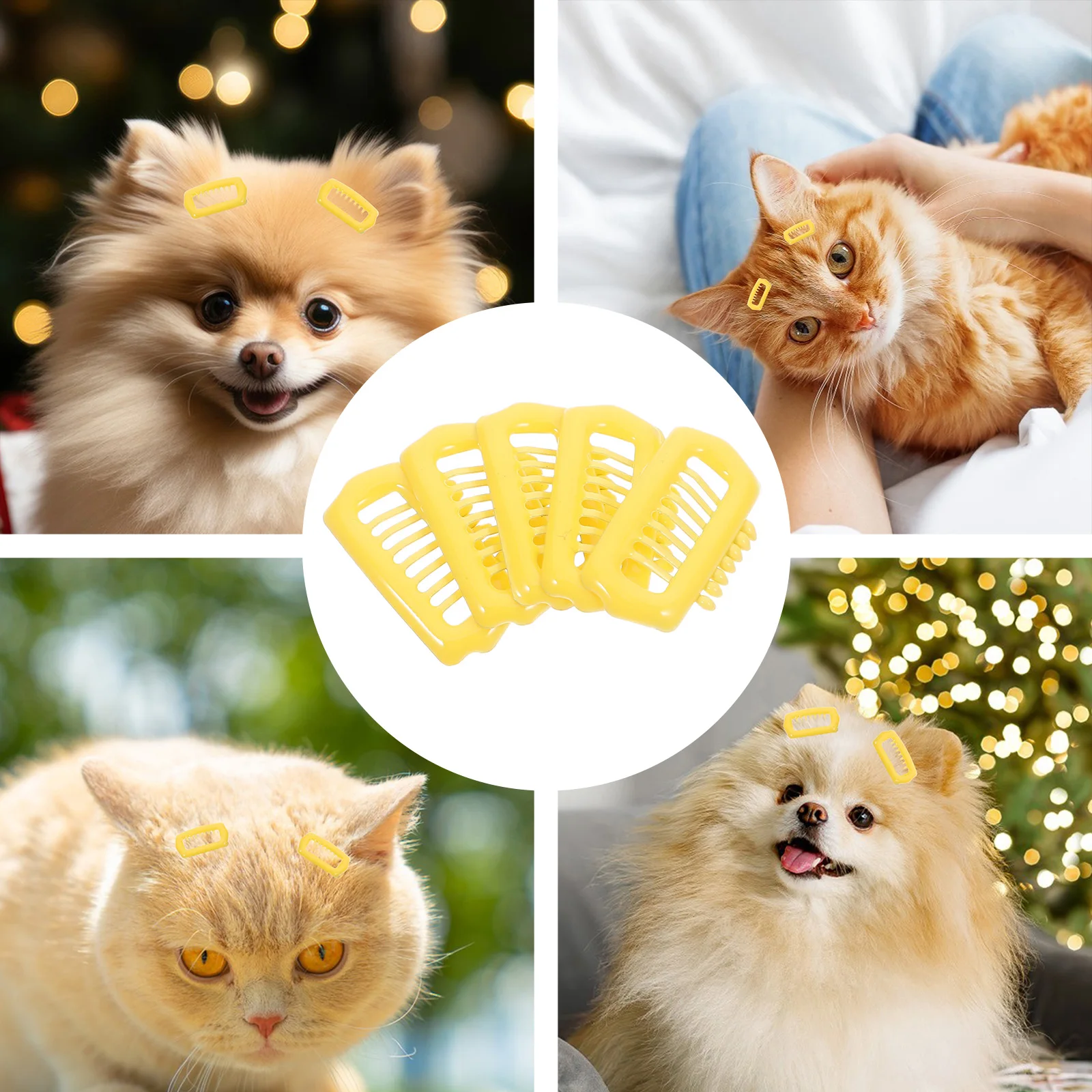 

5 Pcs Dog Headwear Cat Hair Accessories Bunny Clips Bichon Barrettes Abs Cute Pet Decorative