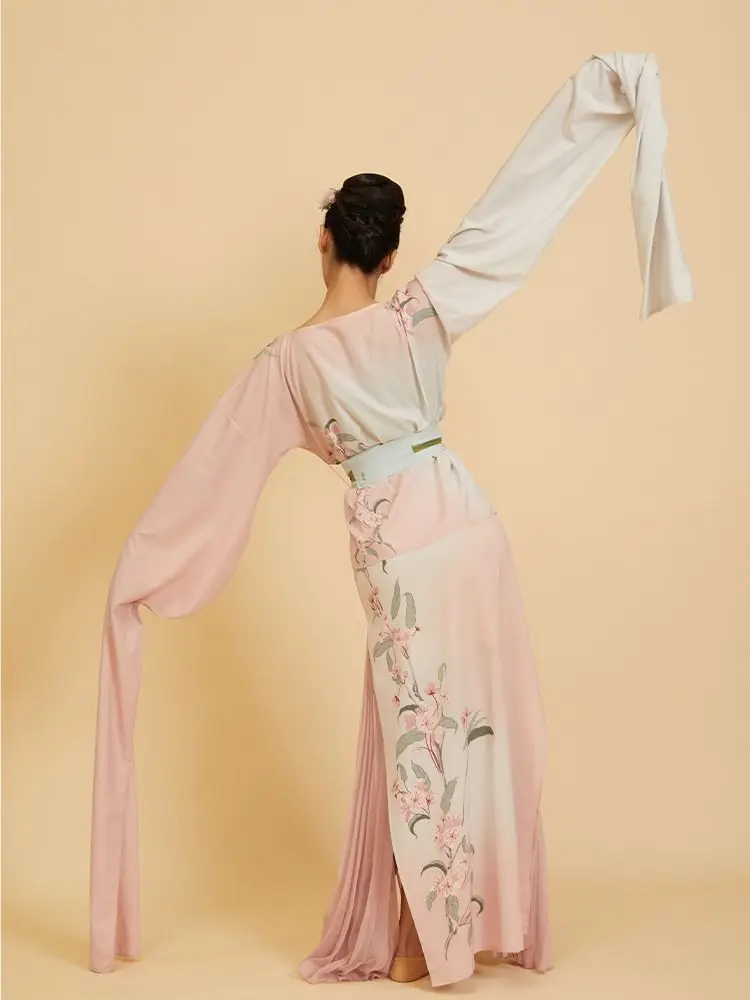 أزياء رقص على شكل زهرة متدفقة مجانية، أزياء رقص كلاسيكية بأكمام مائية، أزياء وانغ شيي بنفس النمط بيجونيا #3