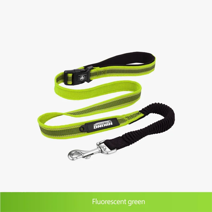 Latest Nylon Dog Collars and Leashes Training Collar Leash OEM