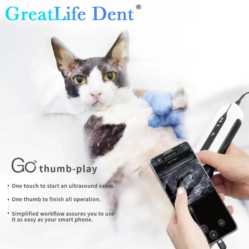 GreatLife Dent SonoEye P1 P2 P3 P5 P6 microconvexo portátil, máquina de escaneo de ultrasonido de mano, sistema de examen Digital