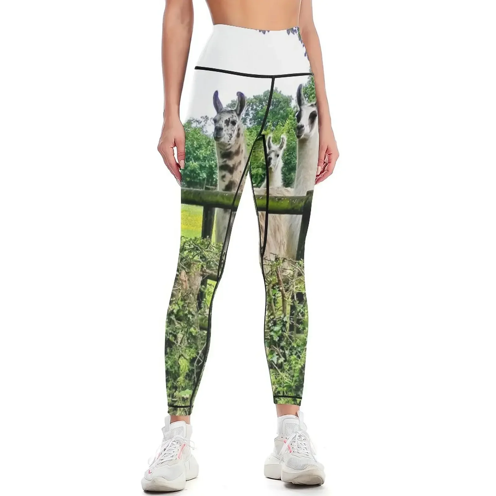 

Five LLama's Leggings Legging sexy woman sport set Women's push up gym's sportswear Womens Leggings