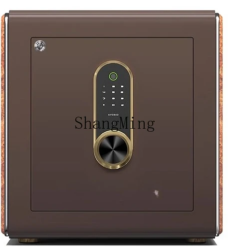 ZYY Home آمن ضد السرقة، بصمة الإصبع، كلمة المرور، التعرف على الوجه، آمن للمكتب المنزلي، كبير في الحائط