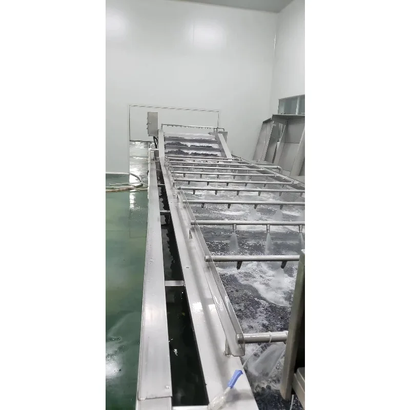 Industrial Vegetable and Fruit Washing Machine for High Pressure Food Washer