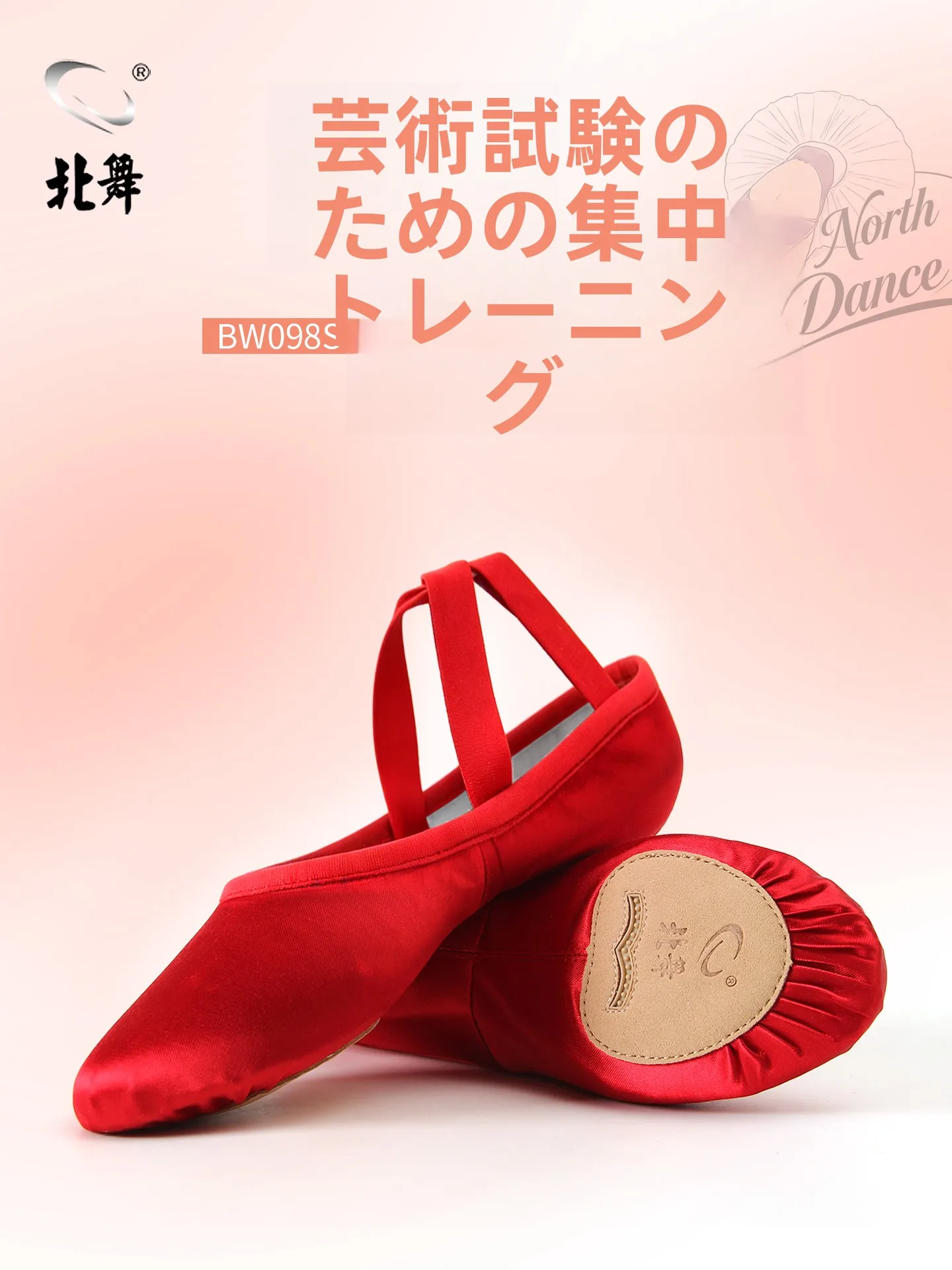 完全弾性バレエダンスシューズ、ラテックスサポートストラップ付きヨガシューズ、猫の爪の形をしたクラシックおよびエスニックダンスシューズ
