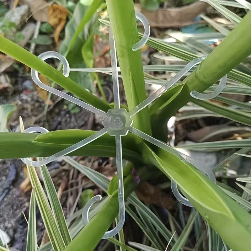4 مشابك بلاستيكية لدعم النباتات، إطار تسلق الكرمة الخضراء الشفافة، مشابك جذعية نباتية قابلة للتعديل للتثبيت والنمو المستقيم #6