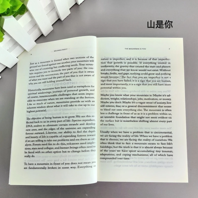 The Mountain Is You by Brianna Wiest: تحويل الانحراف الذاتي إلى سادة ذاتية #5