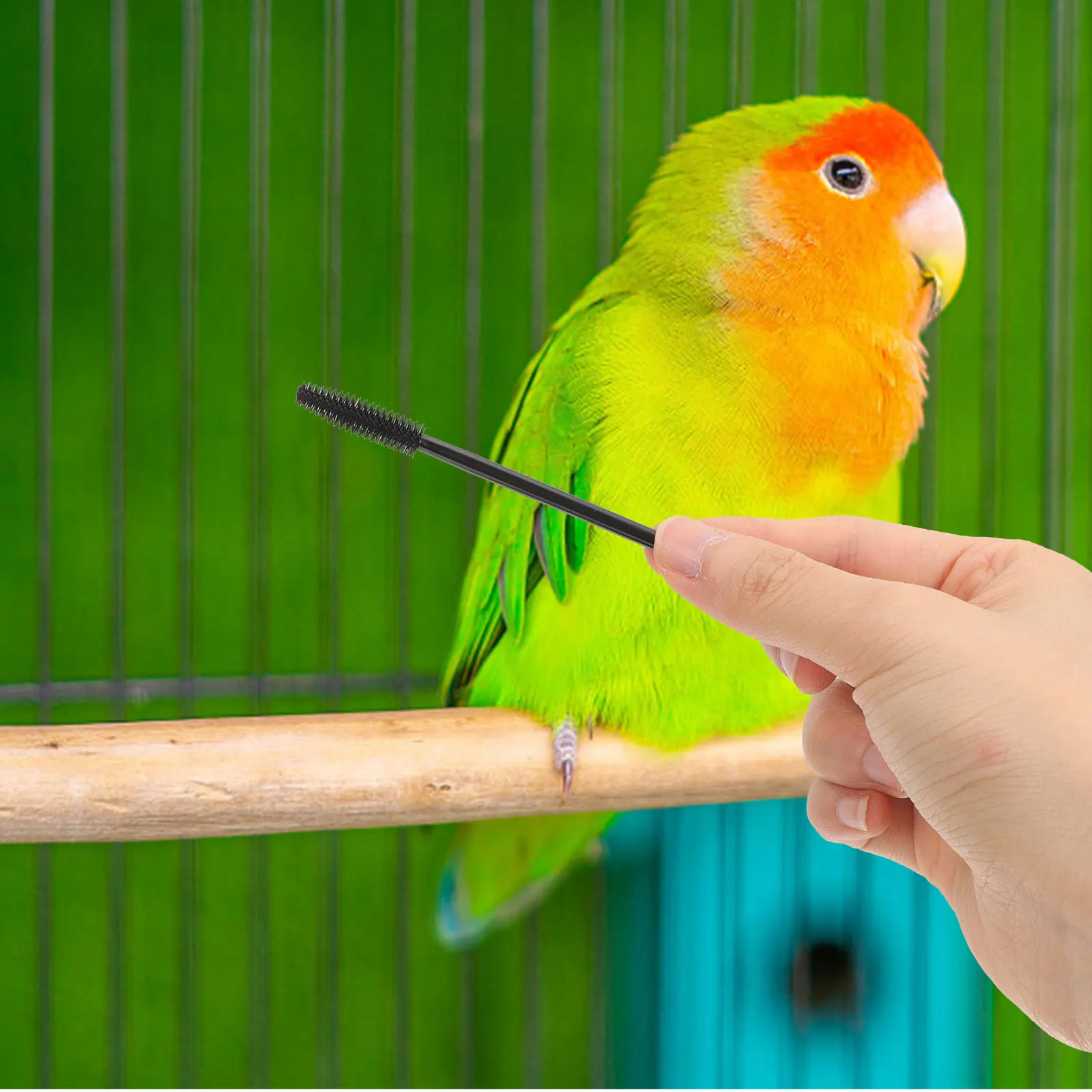 

50pcs Trough Cleaning Dust Pipeline Tool For Bird Feeder Gaps Slots Hummingbird Feeding Accessories Nylon Compact Brush Feeding