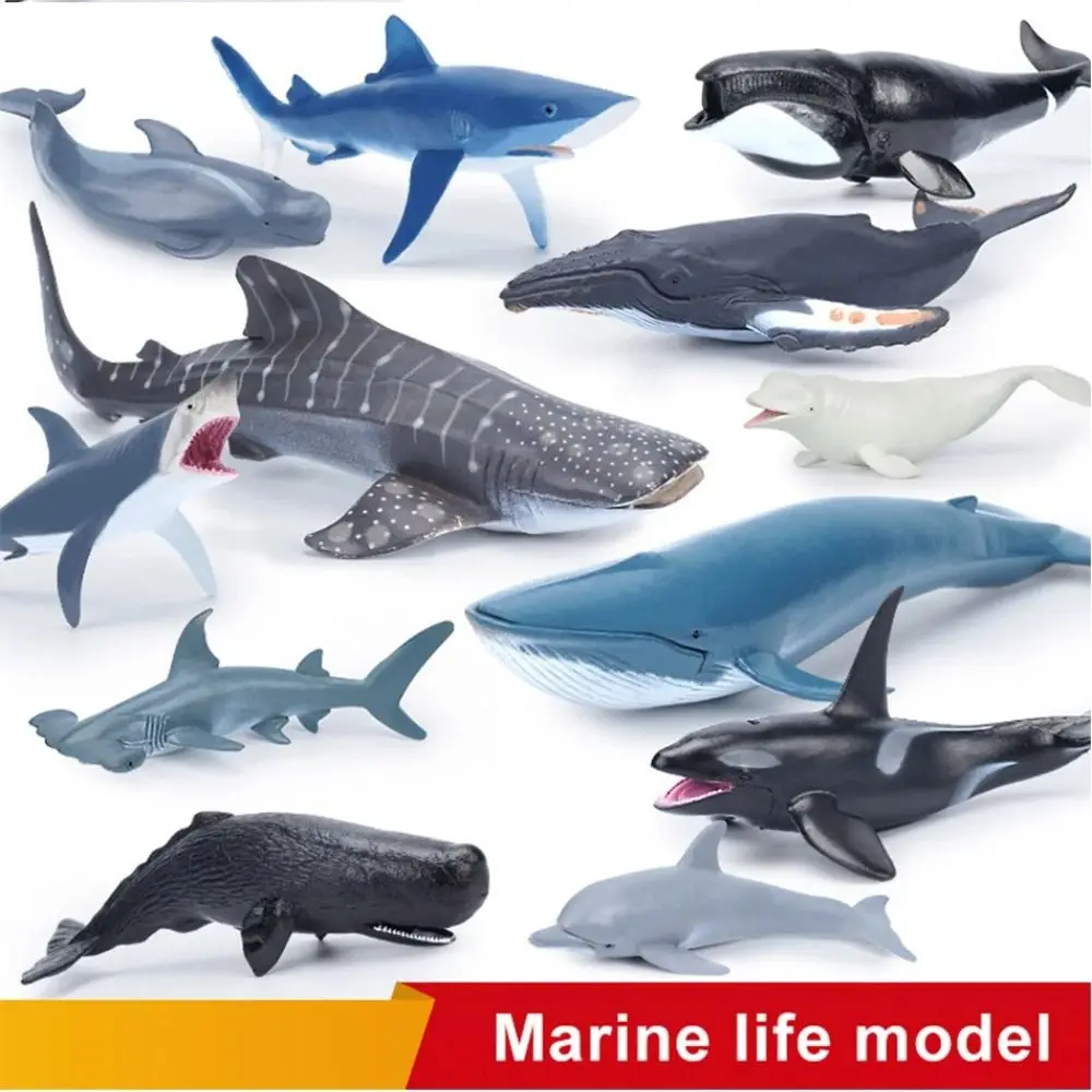 Figuras de animales marinos, simulación de vida marina, tiburón de PVC, cachalota, ballena, delfín, cabeza de martillo, juguetes educativos, figuras de acción del océano