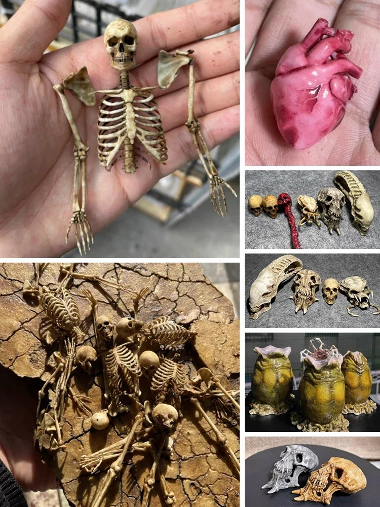 

Dollhouse Magic World Miniature Brain Heart Skeleton Skeleton Skull 1:12 Model Horror Decoration 1:6 Soldier Scene Home Decor