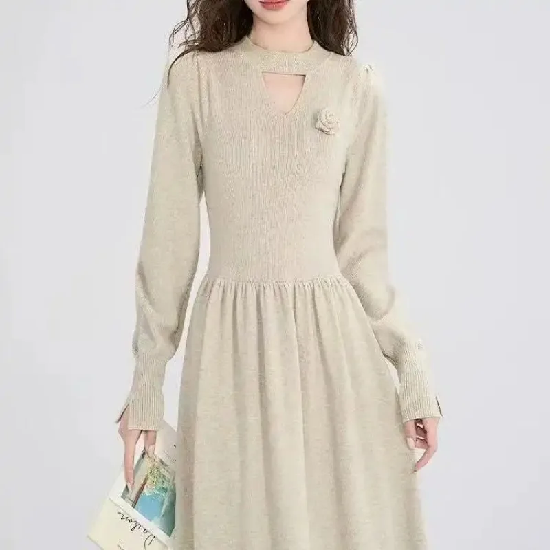 Nouvelle robe à manches longues avec manteau automne hiver taille minceur fond intérieur tricoté jupe longue