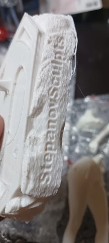 Buyer photo of this resin kit