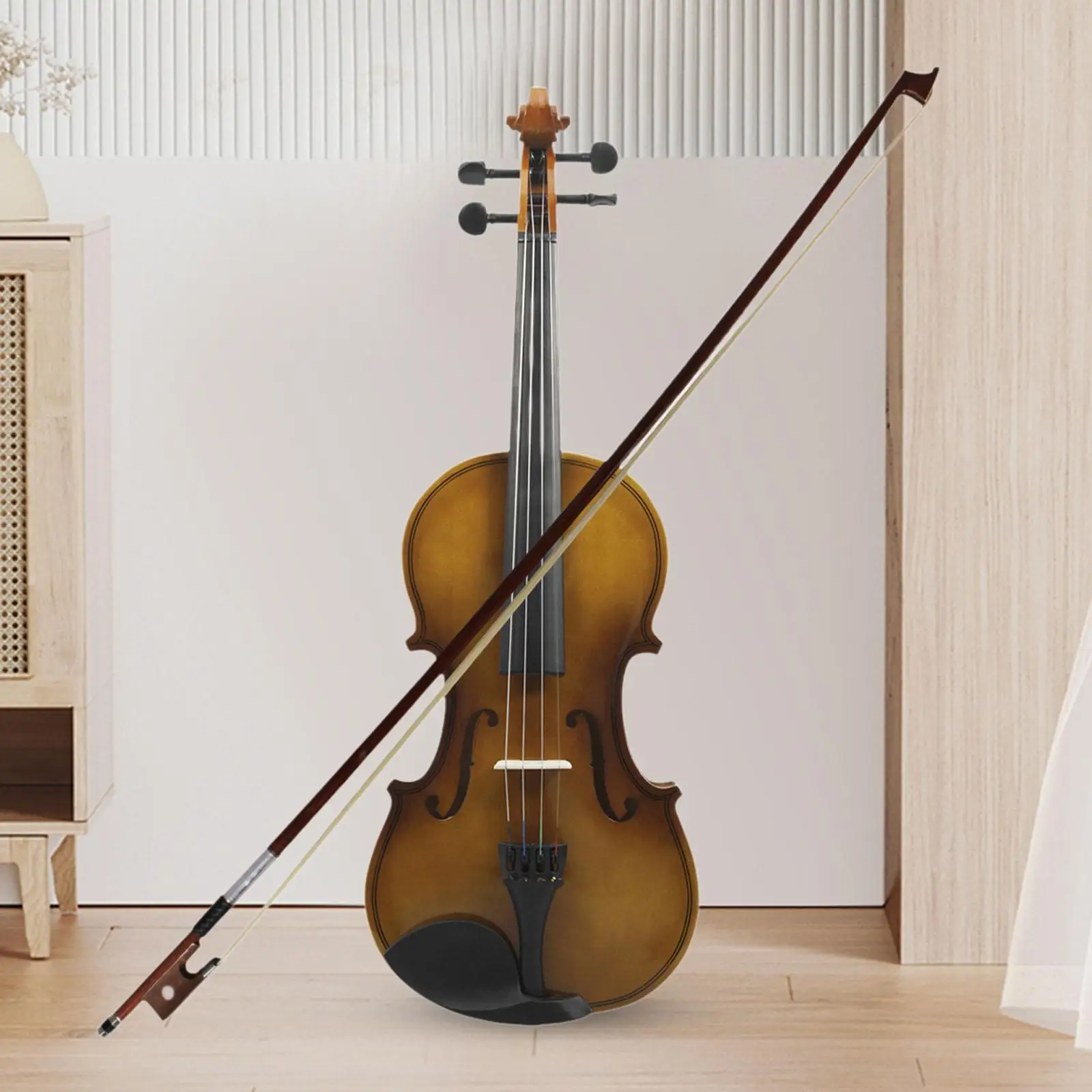Violin Starter Set 4/4 Wood Fiddle Beginner Stringed Instrument with Hard Case Bow for Teens Student School