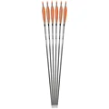 6pcs Orange