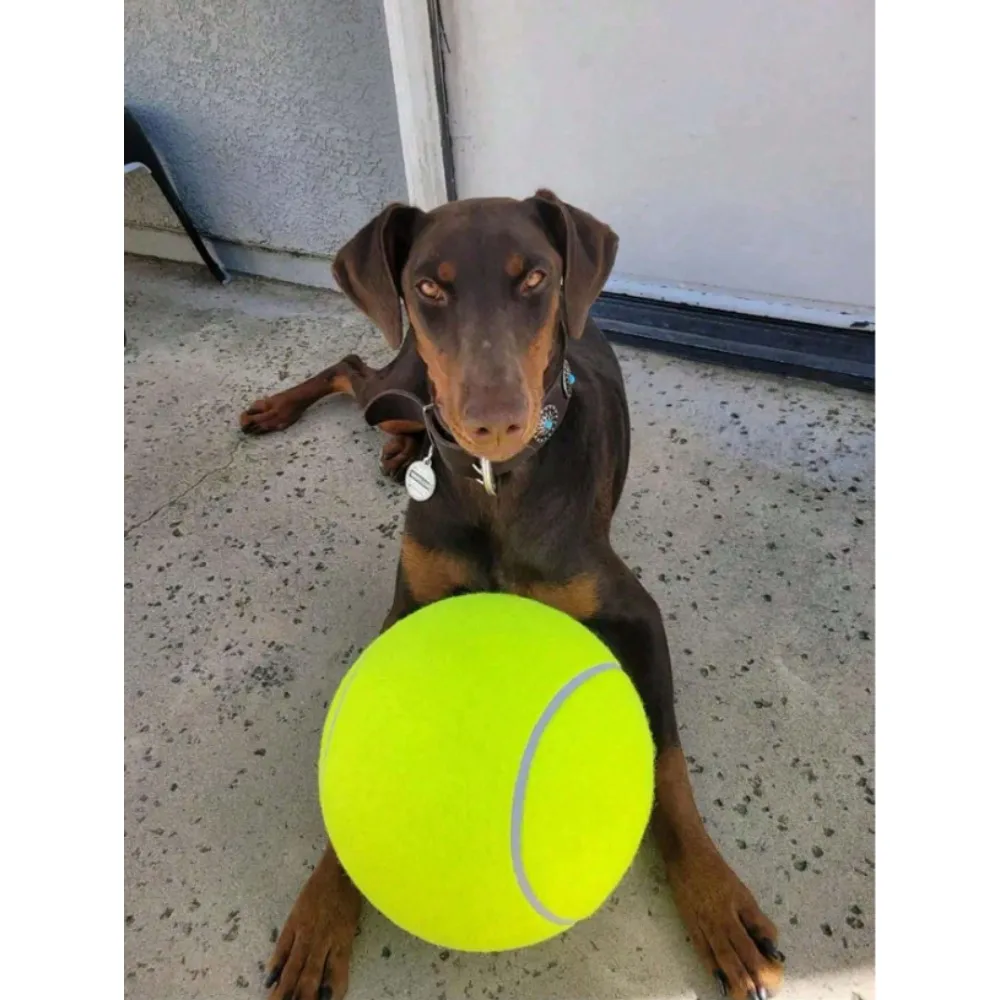 Giant Tennis Ball For Dog Chew Toy Pet Dog Interactive Toys Big Inflatable Tennis Ball Pet Supplies Outdoor Cricket Dog Toy