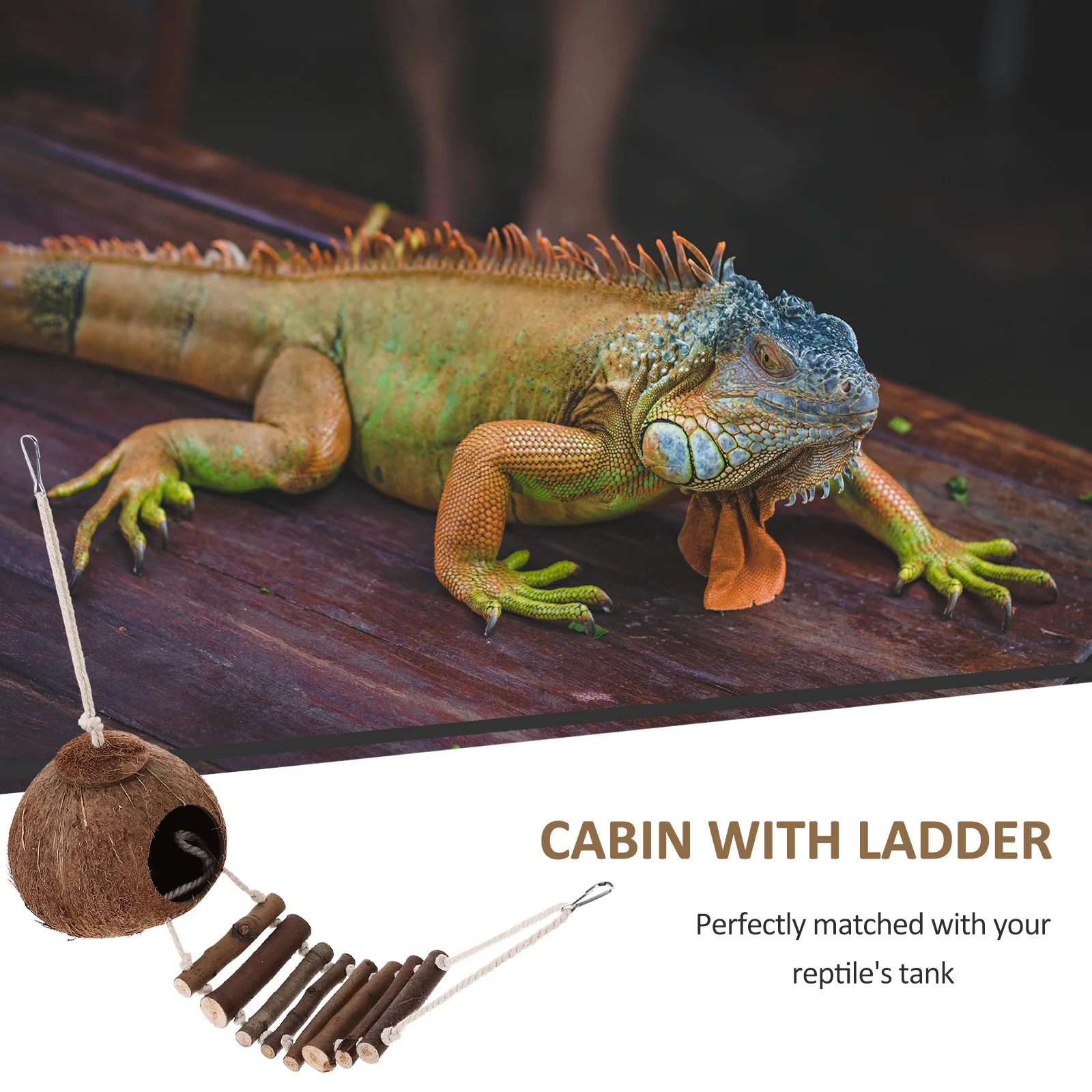 

Hermit Crab Cave Habitat Hut Ladder Safe Practical Wear Resistant Resin Reptile Shelter Hermit Crab Habitat with Ladder