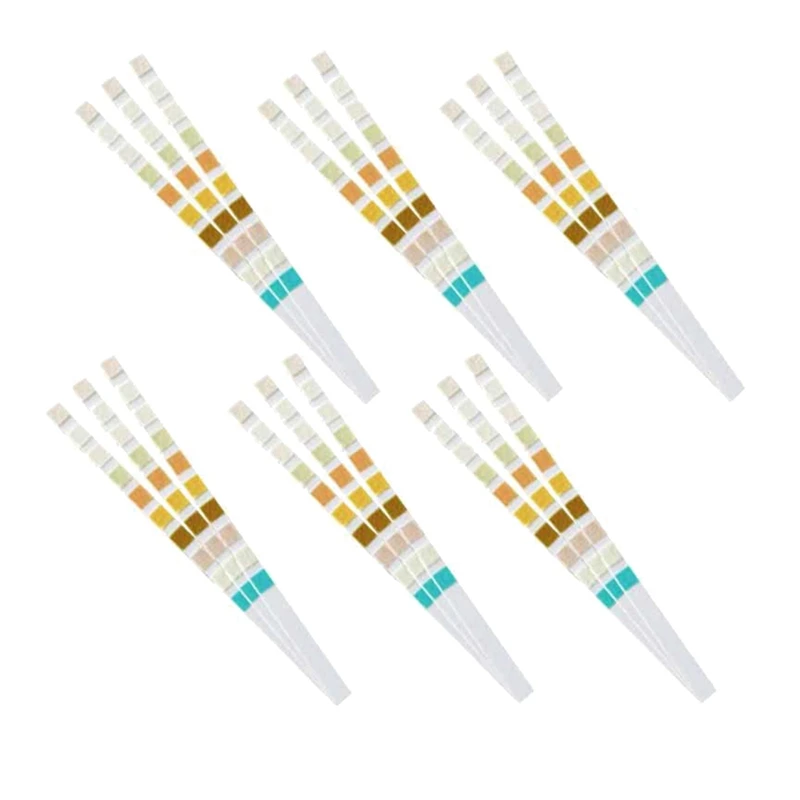 1000 Strips Urine Test Strip 10 Parameters