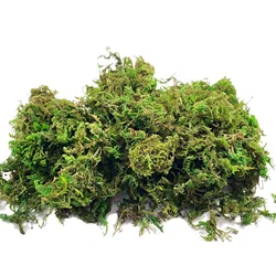 Artificial Fake Moss, Craft Moss for Potted Plant Centerpieces Decor