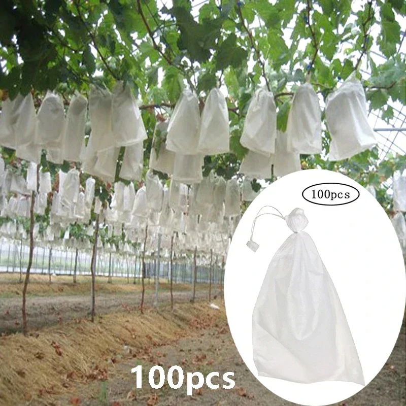 

100pcs Garden Strawberry Grapes Fruit Protection Bags Cover Plant Nursery Bag Pest Control Anti-Bird Mesh Bag Gardening Protect