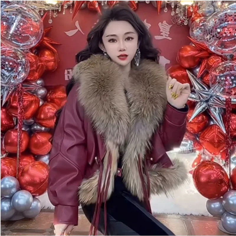 새로운 겨울 인터넷 유명한 황금섬 오소리 칼라 패셔너블한 코트 하이닝 외부의 심플한 개별 및 캐주얼웨어