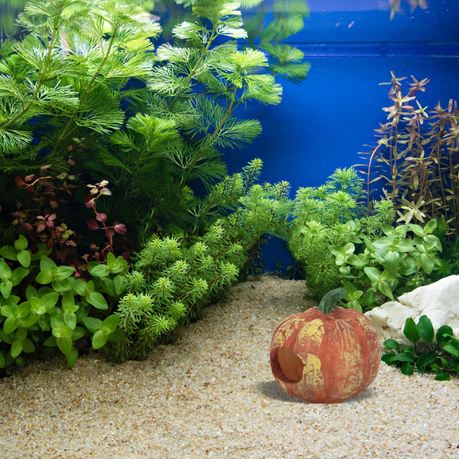 

Resin Aquarium Fish Tank Landscaping Prop Small Ornament Shrimp Aquarium Pumpkin Decor Cave Home Desktop Decor Supply