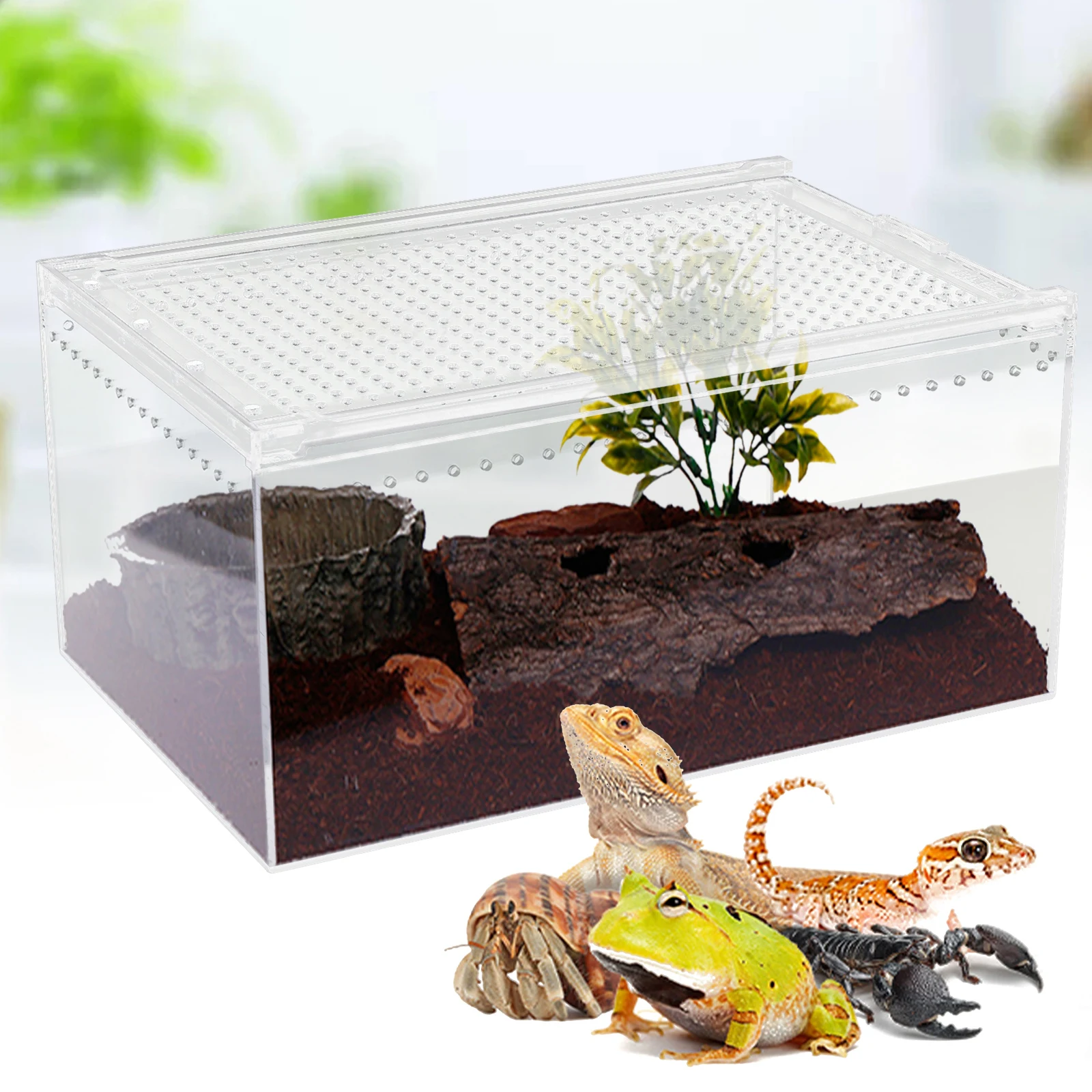 Transparent Pet Feeding Box Large Size Magnetic Acrylic Plant Pet Reptile Terrarium Tank Enclosure Turtle Breeding Cage 2.5 Gal