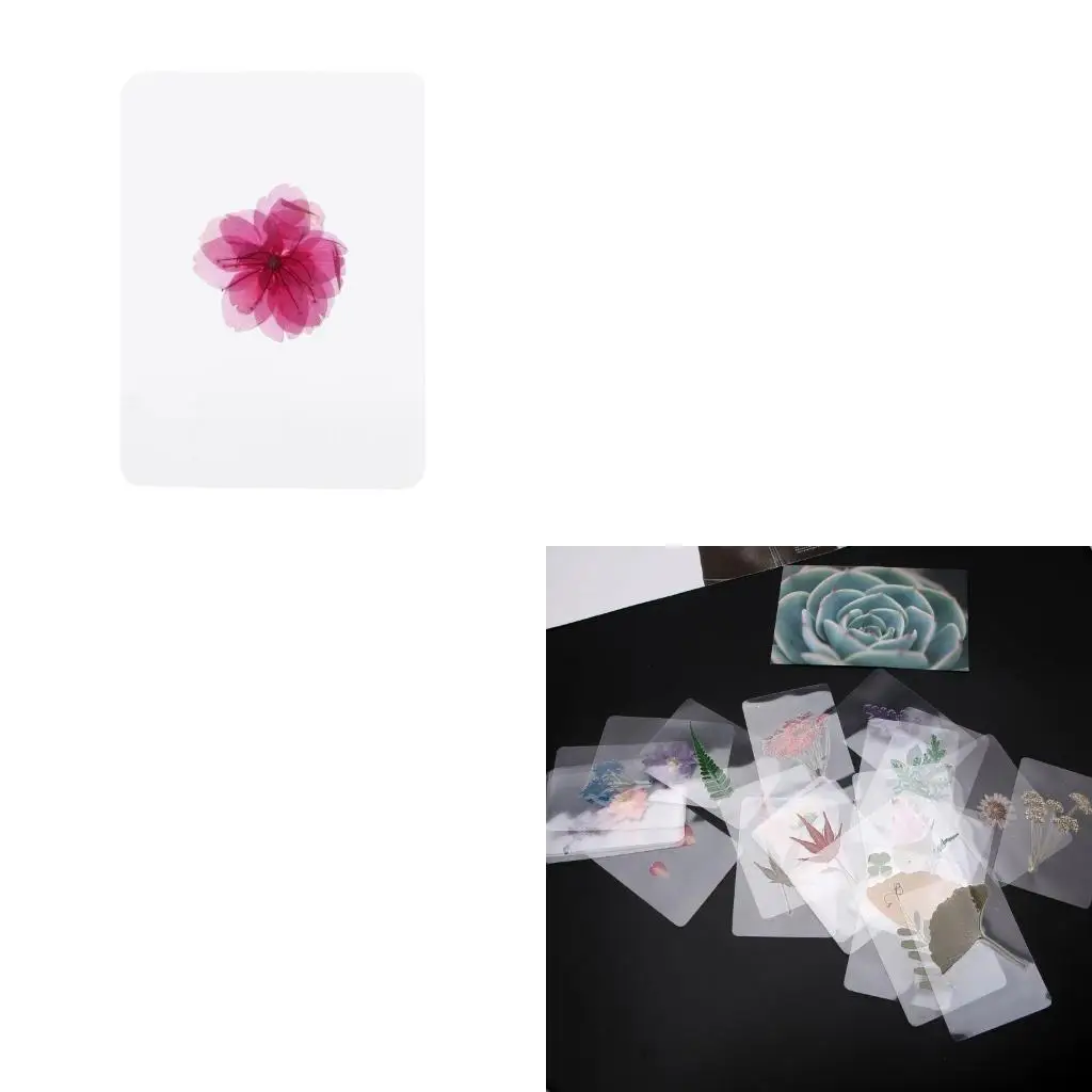 Natural Dried Flowers and Leaves Plant Fillers for Resin Jewelry Pendant Bracelet Scrapbooking DIY Arts Cards