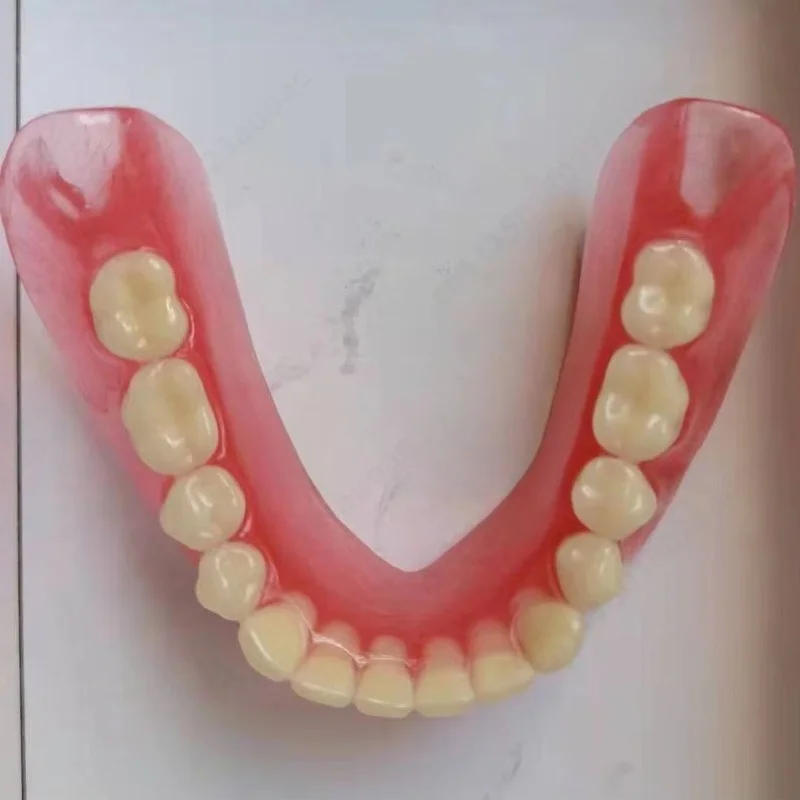Full & Half Mouth Denture Model, Elderly Teeth Sample Model For Dental Teaching Study, Dental Demo Supply