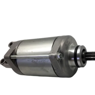Motorcycle Parts Starter Motor for NINJA 1000SX Z900 Z1000 VERSYS 1000 21163-0748 Motorcycle Parts & Accessories