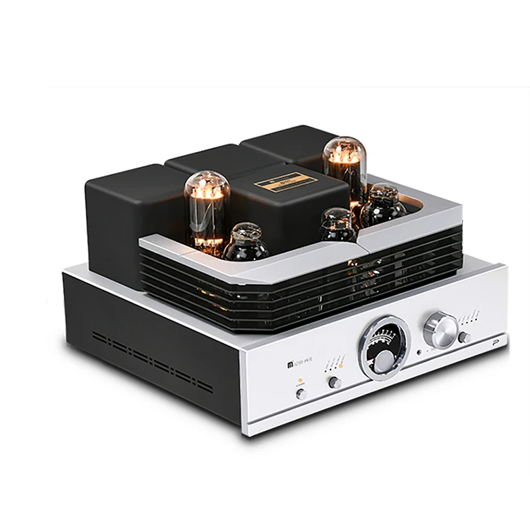 115V/230V Professional Electronic Tube Power Amplifier 30w+30w (845 Power Vacuum Tube)