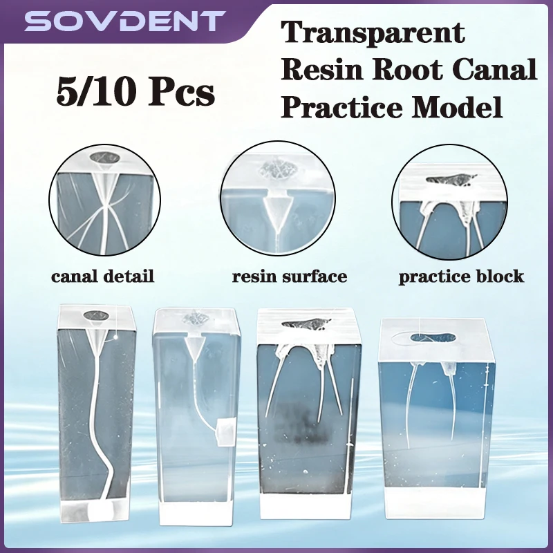 5/10Pcs Dental Endo Root Canal Model Training Block Endodontics Student Teaching Model Practice Model Dentistry