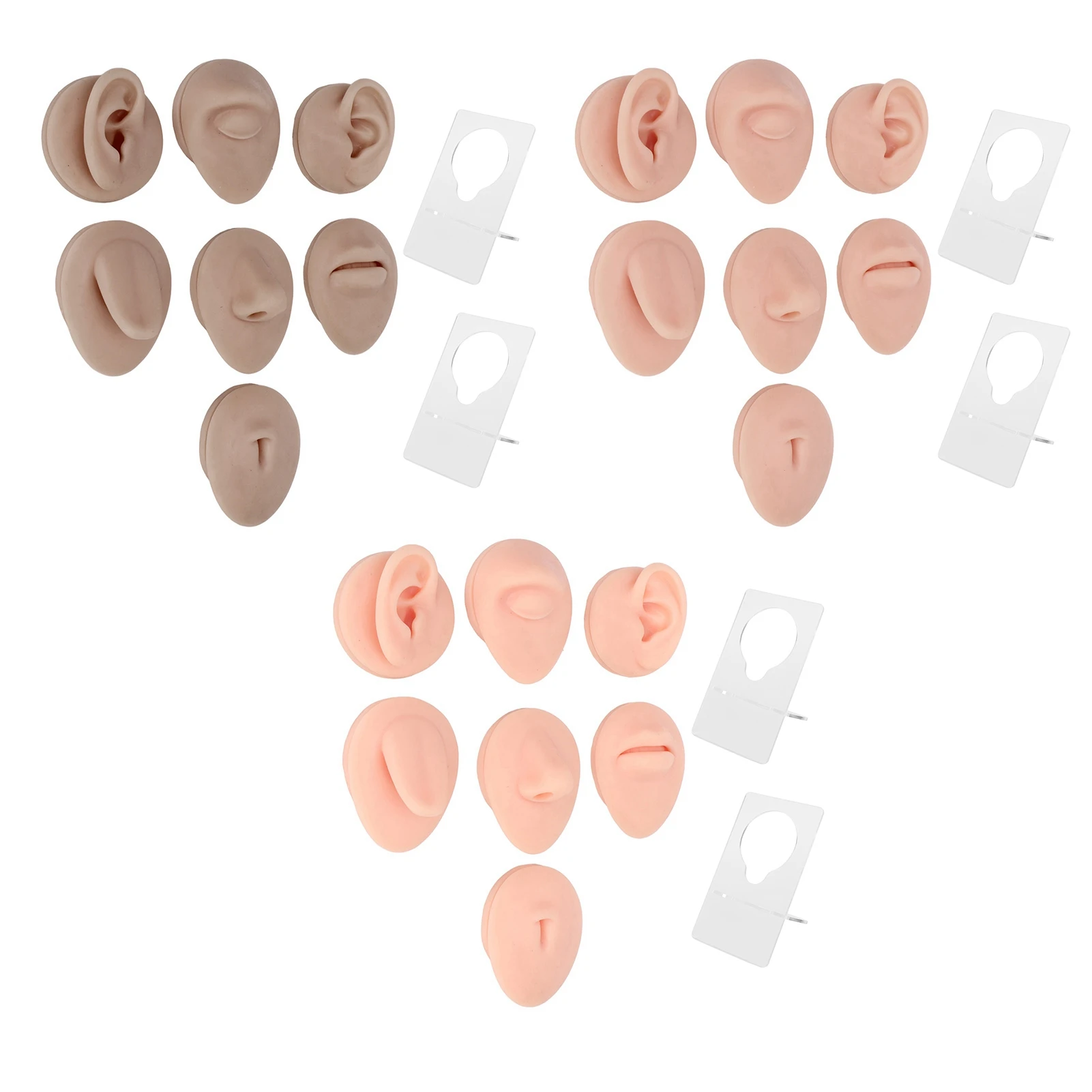 Silicone Piercing Body Model Reusable Soft Piercing Body Part Model 3D Vivid with Display Rack for Display for Jewelry Stores